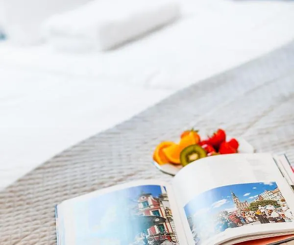 Happy Oldnova Deluxe 366